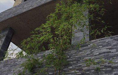 đá ốp mặt tiền